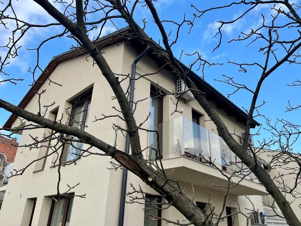 Nature In The City Lower Storey Bestern 세게드 외부 사진